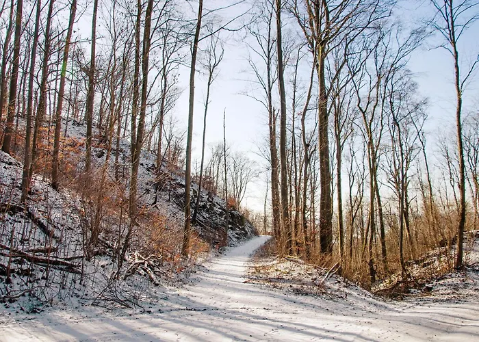 Daire Eichendorff Nordhausen